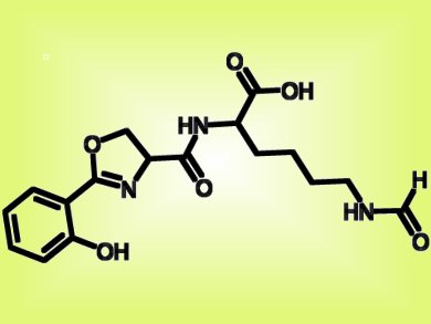 TB or not TB: Total Synthesis of Transvalencin Z