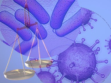 Measuring the Mass of Nanoparticles and Viruses