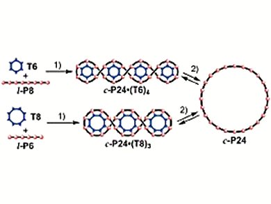 Giant Conjugated Macrocycles