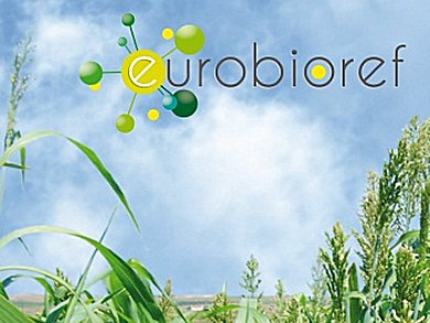 Next Generation Biorefineries: EuroBioRef