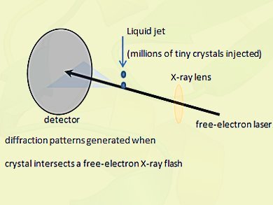 New X-Ray Reveals Architecture Of Small Proteincrystals