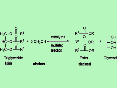 New Catalytic System for Biodiesel Production