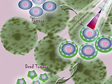 Multifunctional Particles for Photothermal Therapy