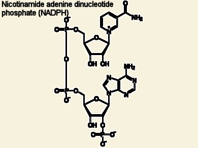 NADPH Depletion? Take the Other Route