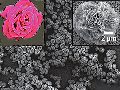 Growing Nanoflowers With Proteins