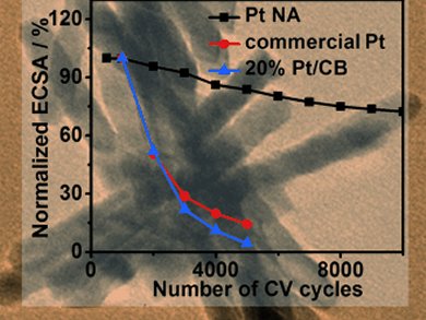 Electrocatalysts for Low-Temperature Fuel Cells