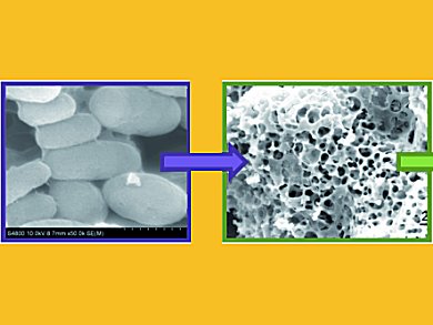 Yeast-Based Microporous Materials Capture CO2