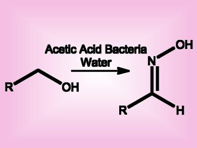 One-Pot Enzymatic Oxidation of Alcohols