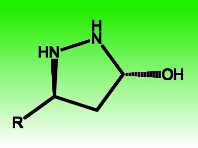 Direct Catalytic Asymmetric Synthesis of Pyrazolidine Derivatives