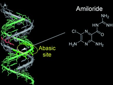 Angewandte Chemie 26/2012: Strong and Selective