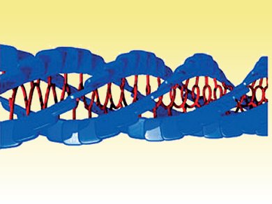 Covalent Strategy Toward Well-Ordered Arrays