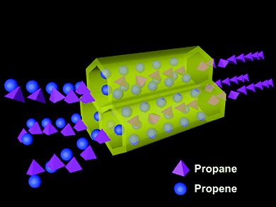 Remarkable Adsorption Selectivity in MOFs