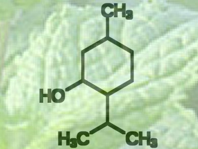 New Process for Menthol Production