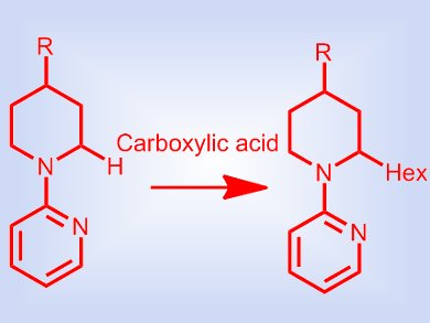 Better Route to Cyclic Amines