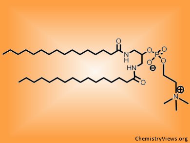 Diaminophospholipids Make Stress Useful