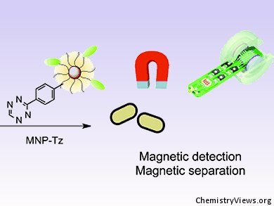 Magnetizing Diagnostics