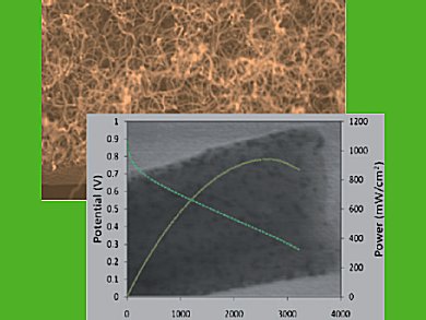 New Catalyst for Fuel Cells