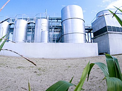 Biggest Biofuel Pilot Plant