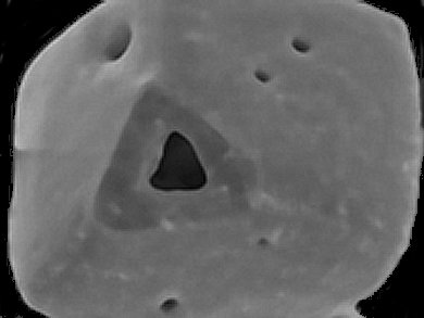 Single-Crystal Manganese Sulfide Microboxes