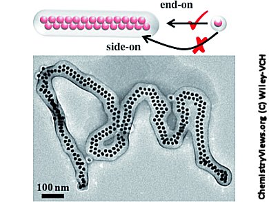 Assembly of Gold Nanoparticles