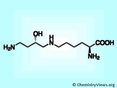 Hypusine Keeps Tumor Away