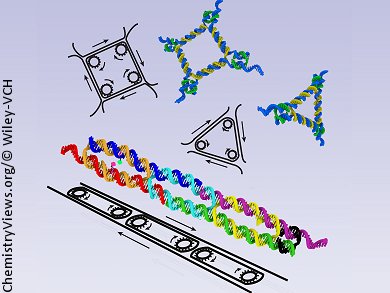 Dynamic DNA Nanostructures