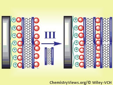 Electrochemical Hydrazine Sensors