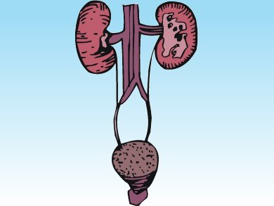 Imaging Renal Acute Tubular Necrosis