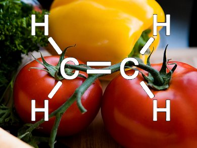 Tomatoes, Peppers, and Ethylene