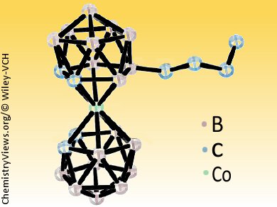 Li+-Mediated Cross-Coupling: As Easy as A B–C!