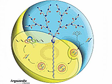 Angewandte Chemie 34/2012: In the Limelight