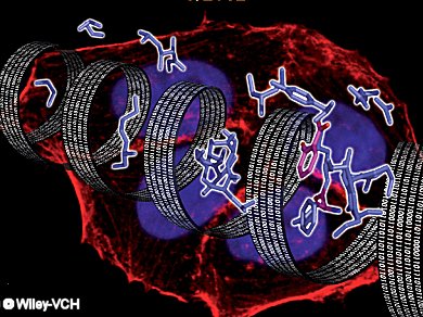 Open Innovation in Drug Discovery