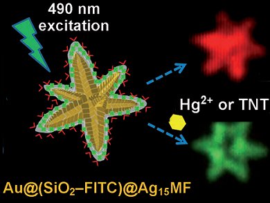 Glowing Flowers for Ultra-Trace Analysis of TNT