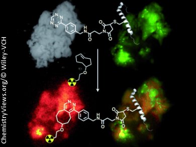 Visual Effects on β Cells