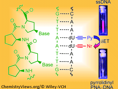 Restrict DNA Freedom with PNA for White Light