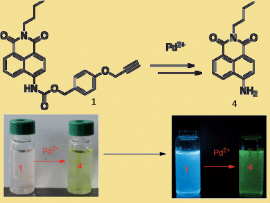 Selective Detection of Pd2+ Ions