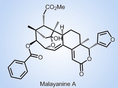 Limonoid Extracts Give New Natural Products