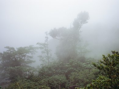 Potassium’s Influence on Clouds in Rainforest