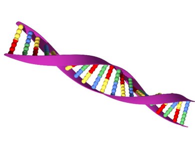 Less Junk DNA Than Thought