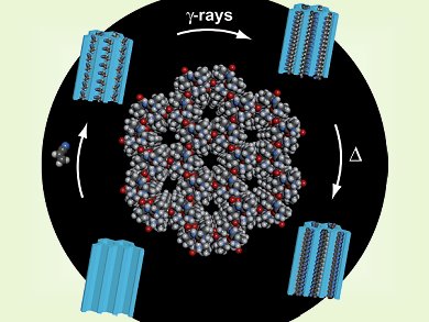 Angewandte Chemie 37/2012: Samarium and Beyond