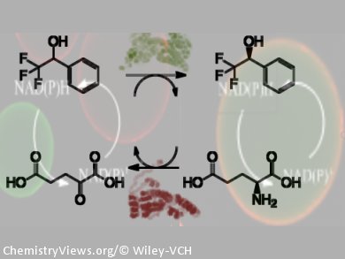 Co-Immobilized Bi-Enzymatic Cascades