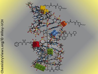 New Kids on the Block: Base-Modified Nucleoside Triphosphates