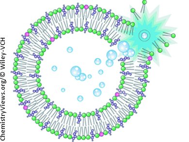 Blowing Bubbles to Kill Cancer