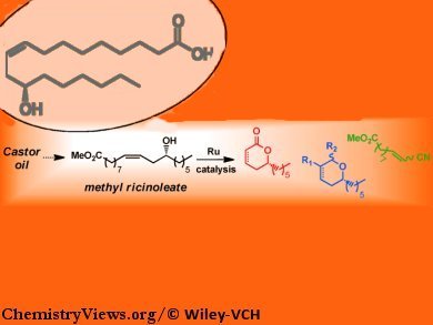 Methyl Ricinoleate as Platform Chemical