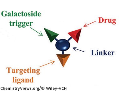 Targeted Attack on Tumors