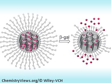 First Nanoparticles Targeting Senescent Cells