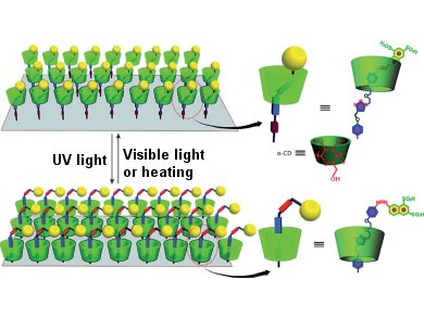 Graphene Oxide-based Photoswitches