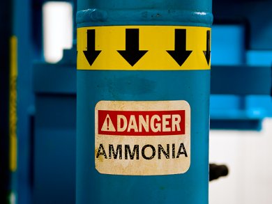 Electride Ammonia