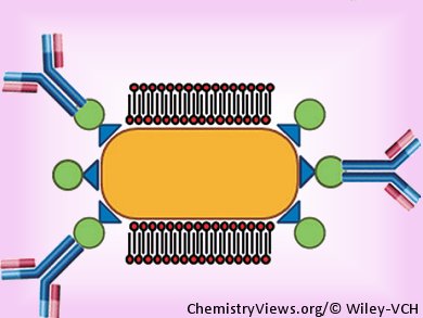 New Route for Functionalization of Gold Nanorods