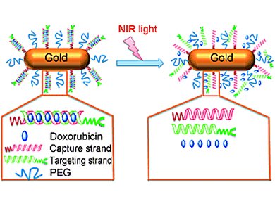 Assembling Gold Nanorods Using DNA